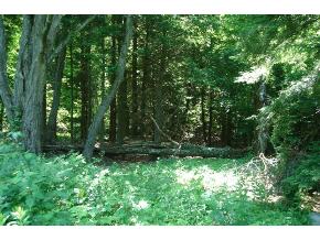380 Eggleston Road Triangle, NY 13862 - Photo 6 of 6