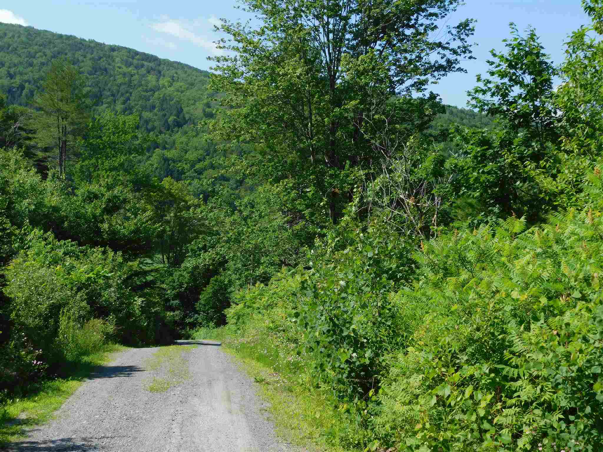 211 Williams Road Rockingham, VT 05143 - Photo 6 of 38