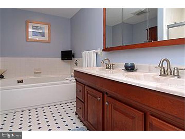 41 Sentinel Road, Unit 132 Washington Crossing, PA 18977 - Photo 12 of 20 Bathroom