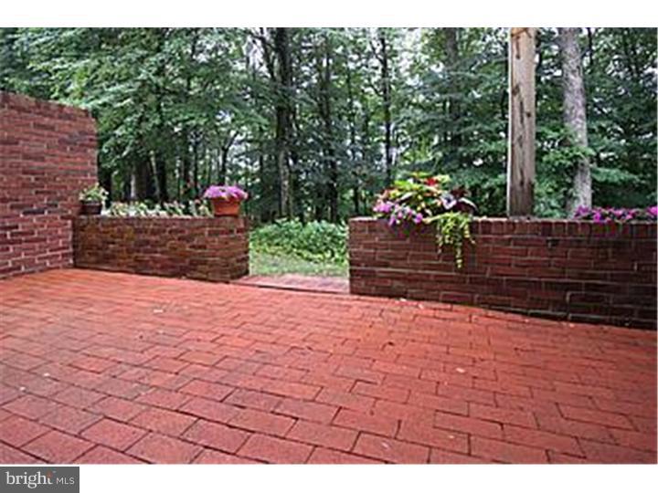 41 Sentinel Road, Unit 132 Washington Crossing, PA 18977 - Photo 20 of 20 Patio