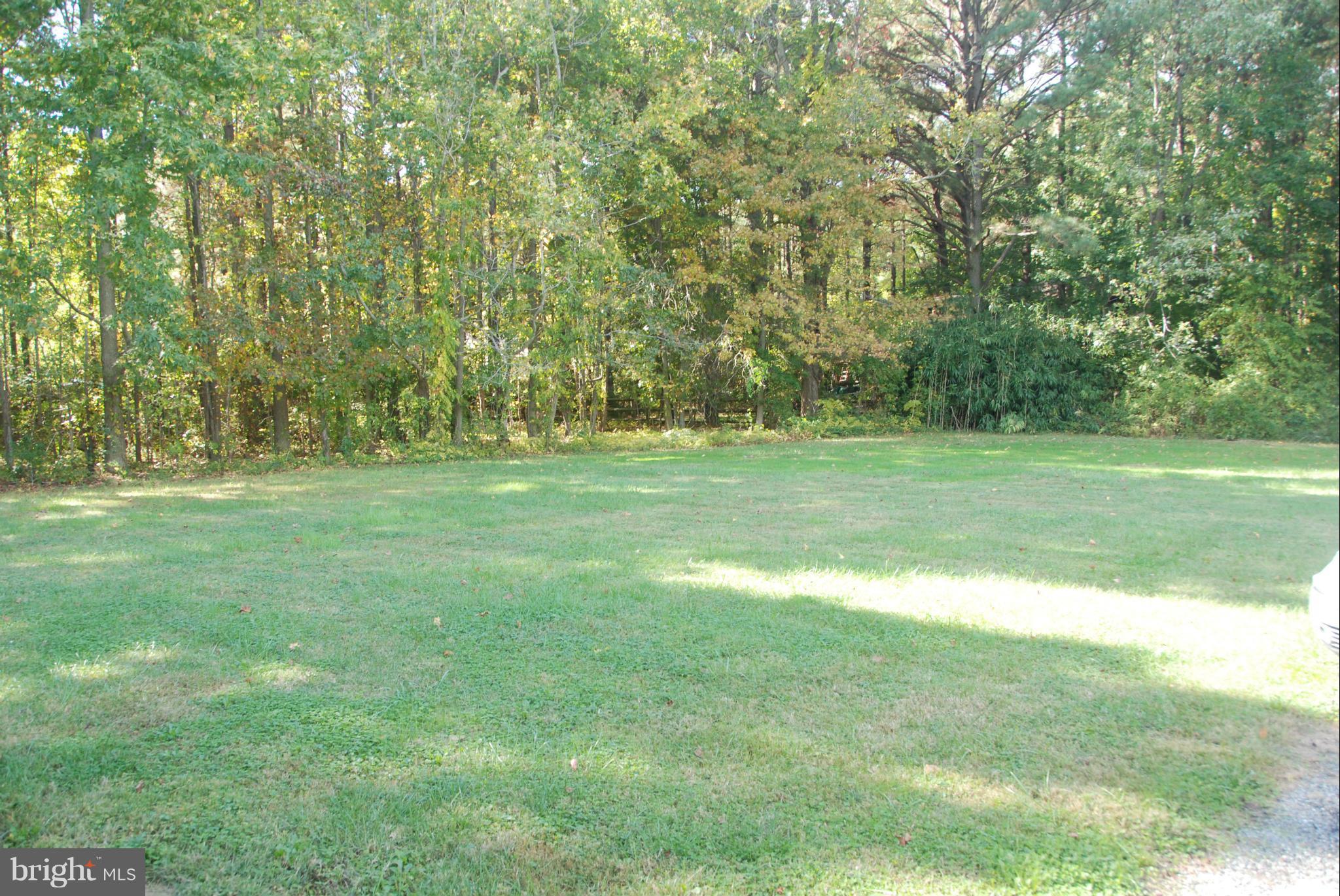 219 Baltimore Road Stevensville, MD 21666 - Photo 6 of 13 Exterior (Rear)