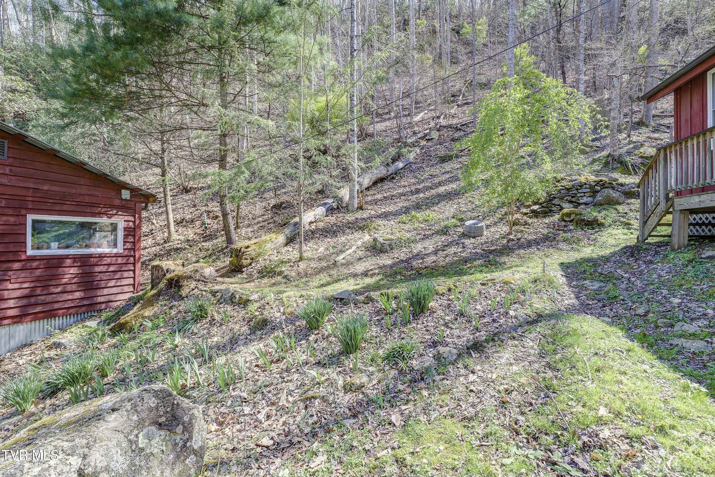 869 Tumbling Creek Road Erwin, TN 37650 - Photo 18 of 52 Tumbling-19