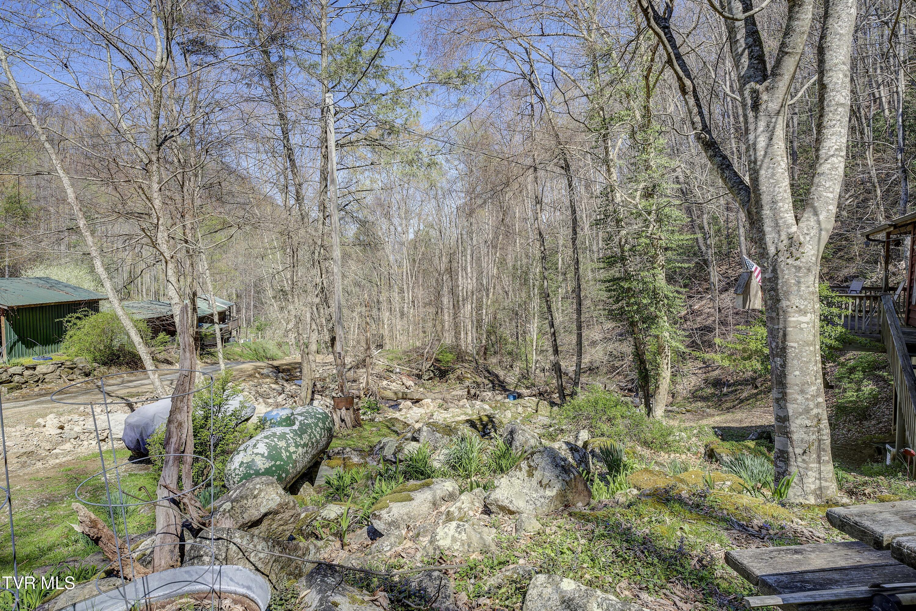 869 Tumbling Creek Road Erwin, TN 37650 - Photo 19 of 52 Tumbling-20