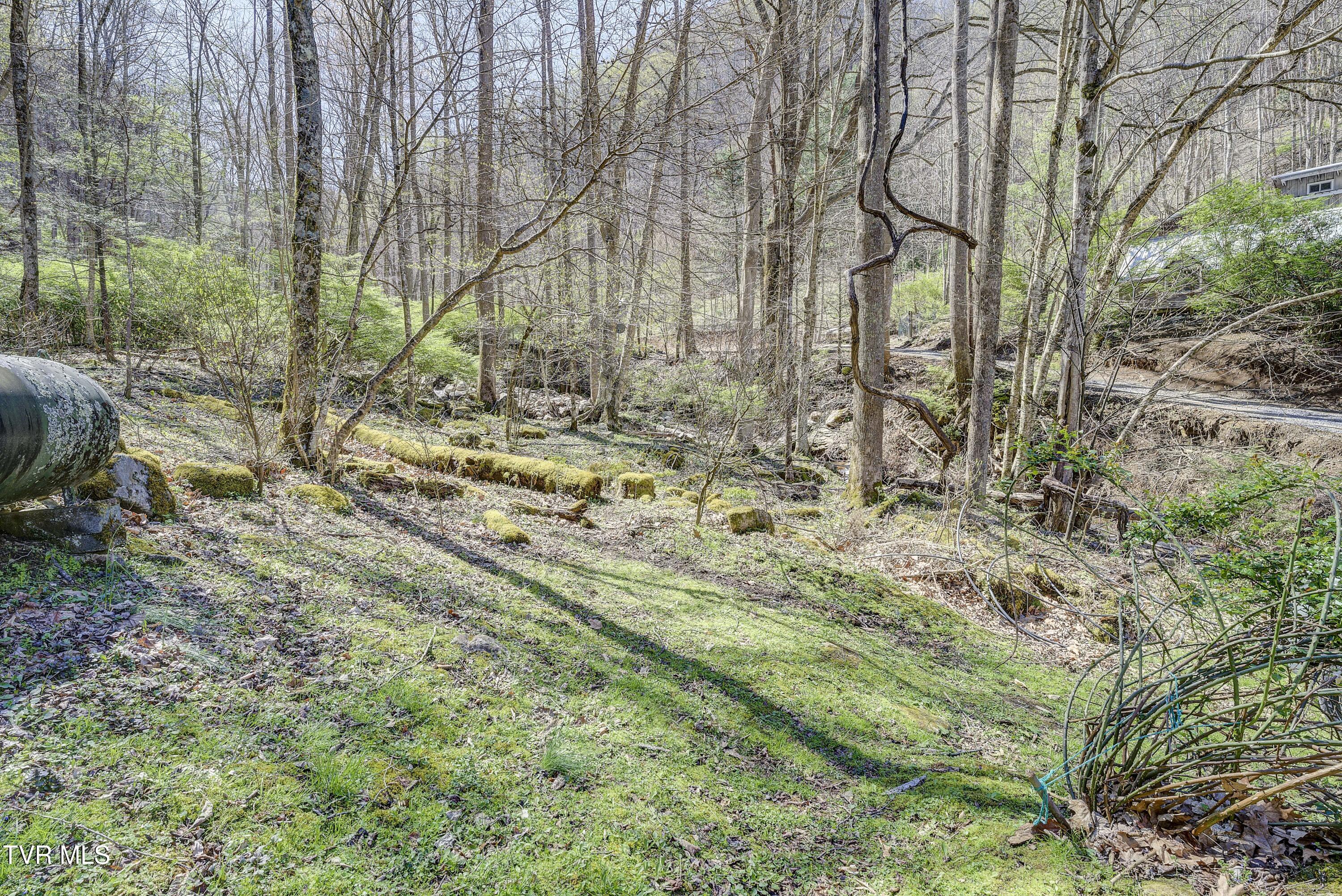 869 Tumbling Creek Road Erwin, TN 37650 - Photo 30 of 52 Tumbling-31