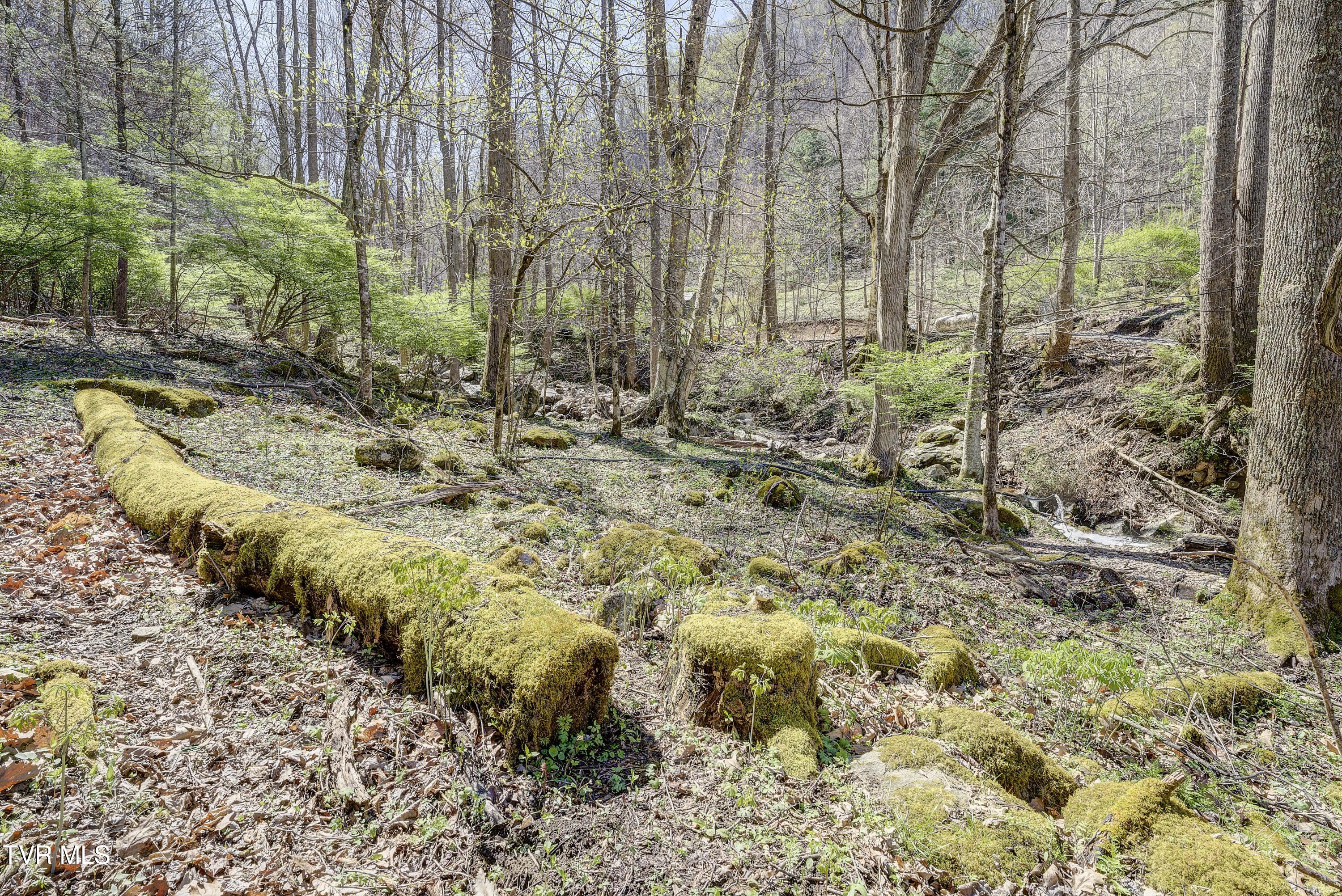 869 Tumbling Creek Road Erwin, TN 37650 - Photo 31 of 52 Tumbling-32