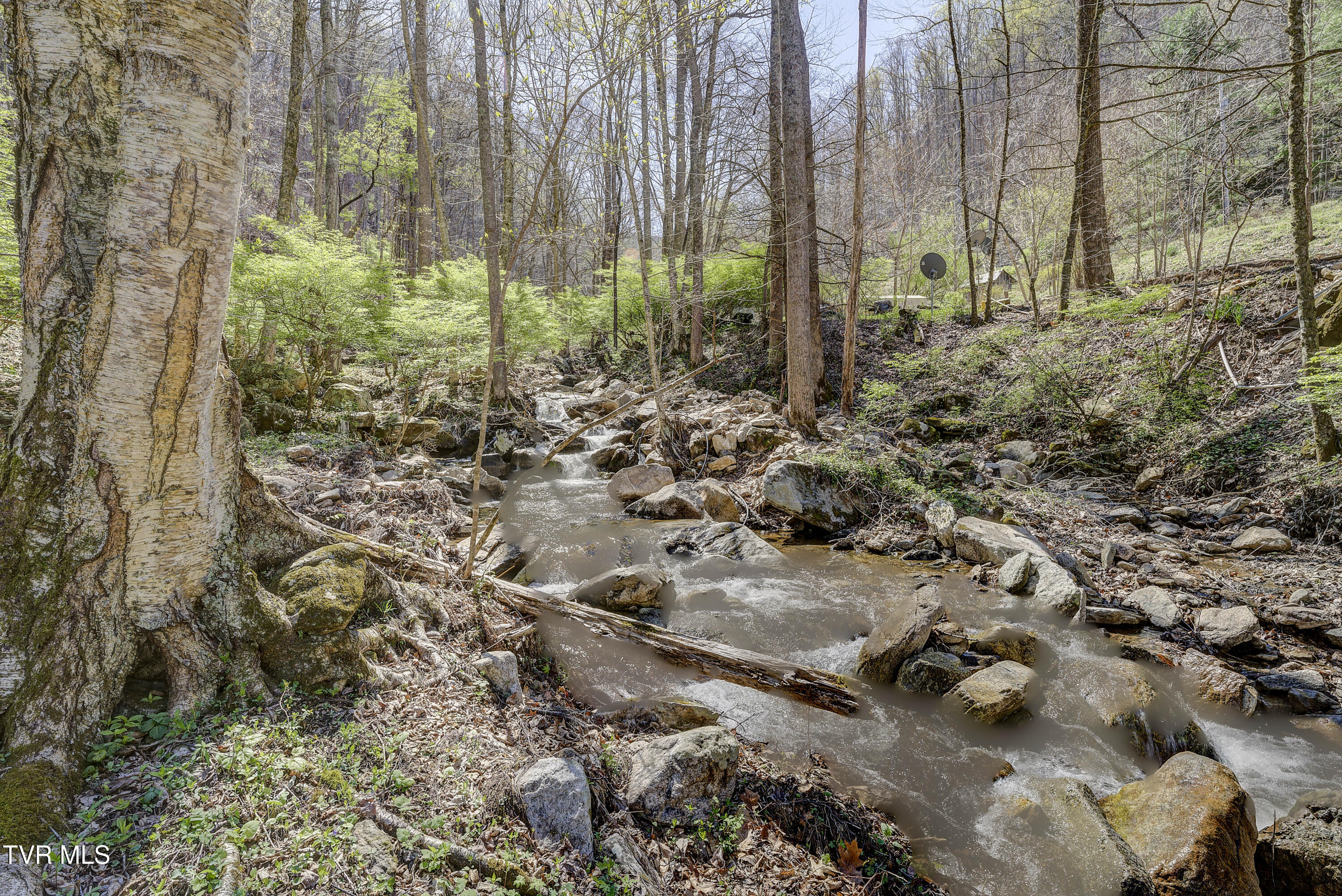 869 Tumbling Creek Road Erwin, TN 37650 - Photo 32 of 52 Tumbling-33