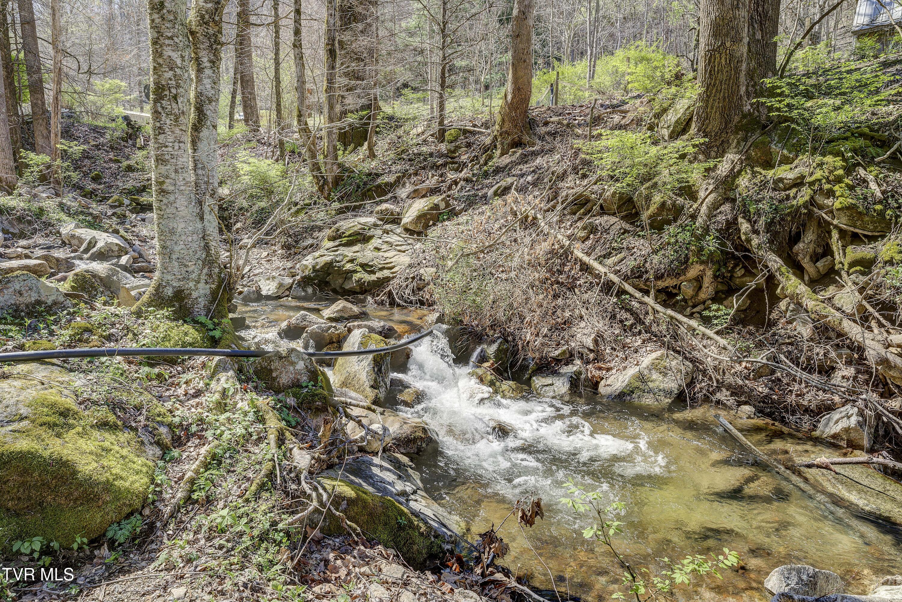 869 Tumbling Creek Road Erwin, TN 37650 - Photo 33 of 52 Tumbling-34
