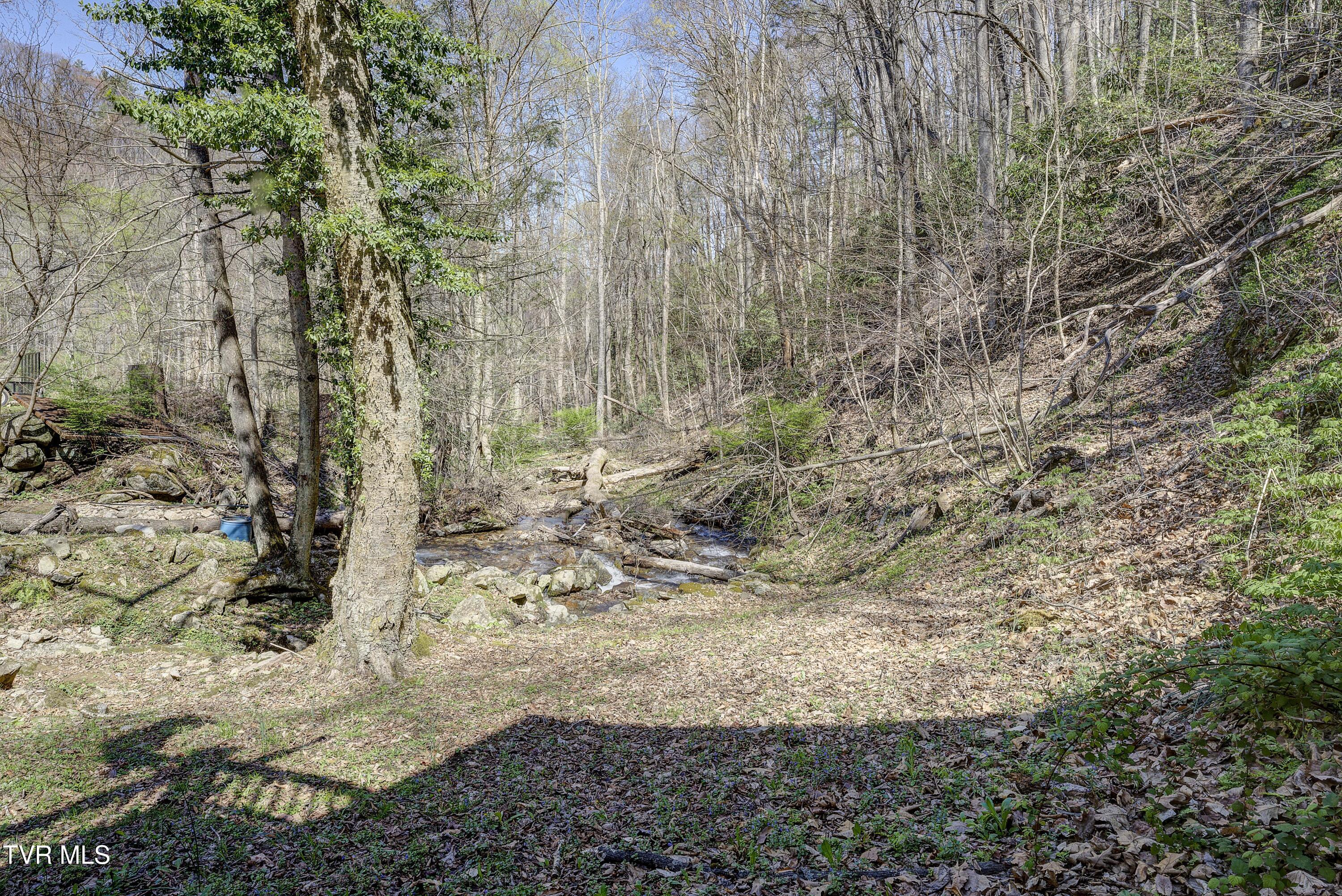 869 Tumbling Creek Road Erwin, TN 37650 - Photo 35 of 52 Tumbling-38