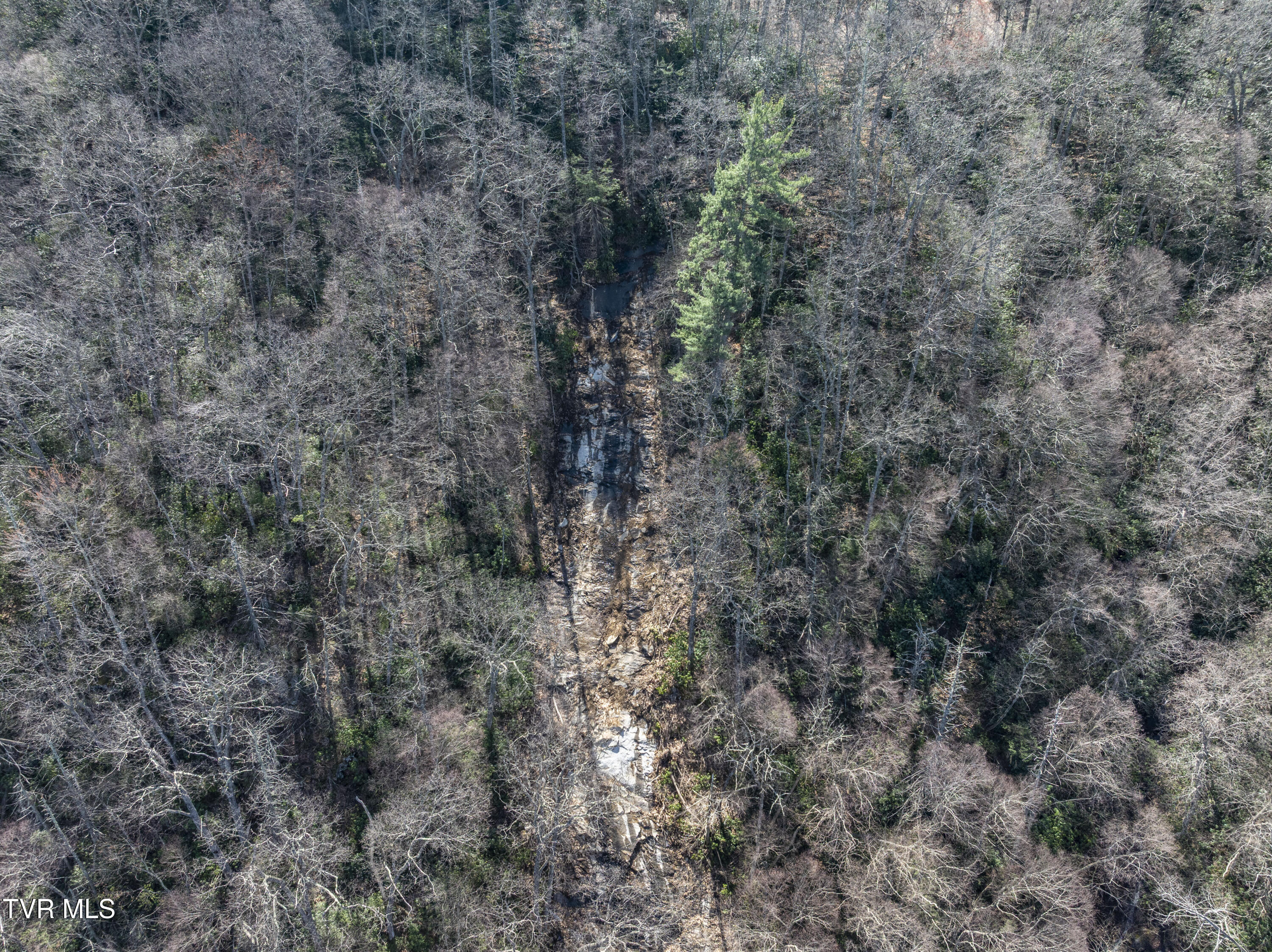 869 Tumbling Creek Road Erwin, TN 37650 - Photo 46 of 52 Tumbling-aerials-10