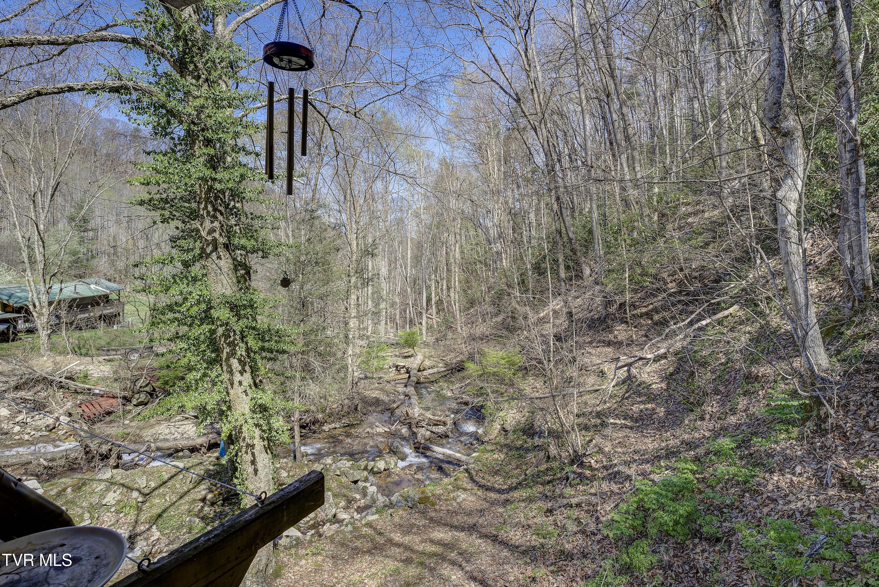 869 Tumbling Creek Road Erwin, TN 37650 - Photo 7 of 52 Tumbling-14