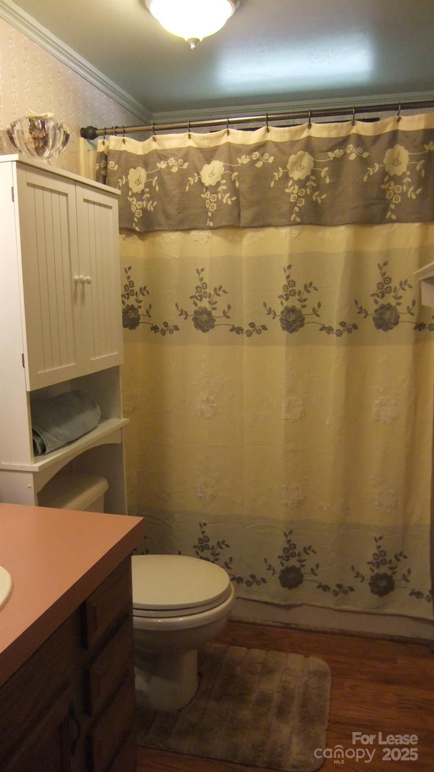 11208 Harrisburg Road Indian Land, SC 29707 - Photo 13 of 16 a bathroom with a sink a toilet and shower