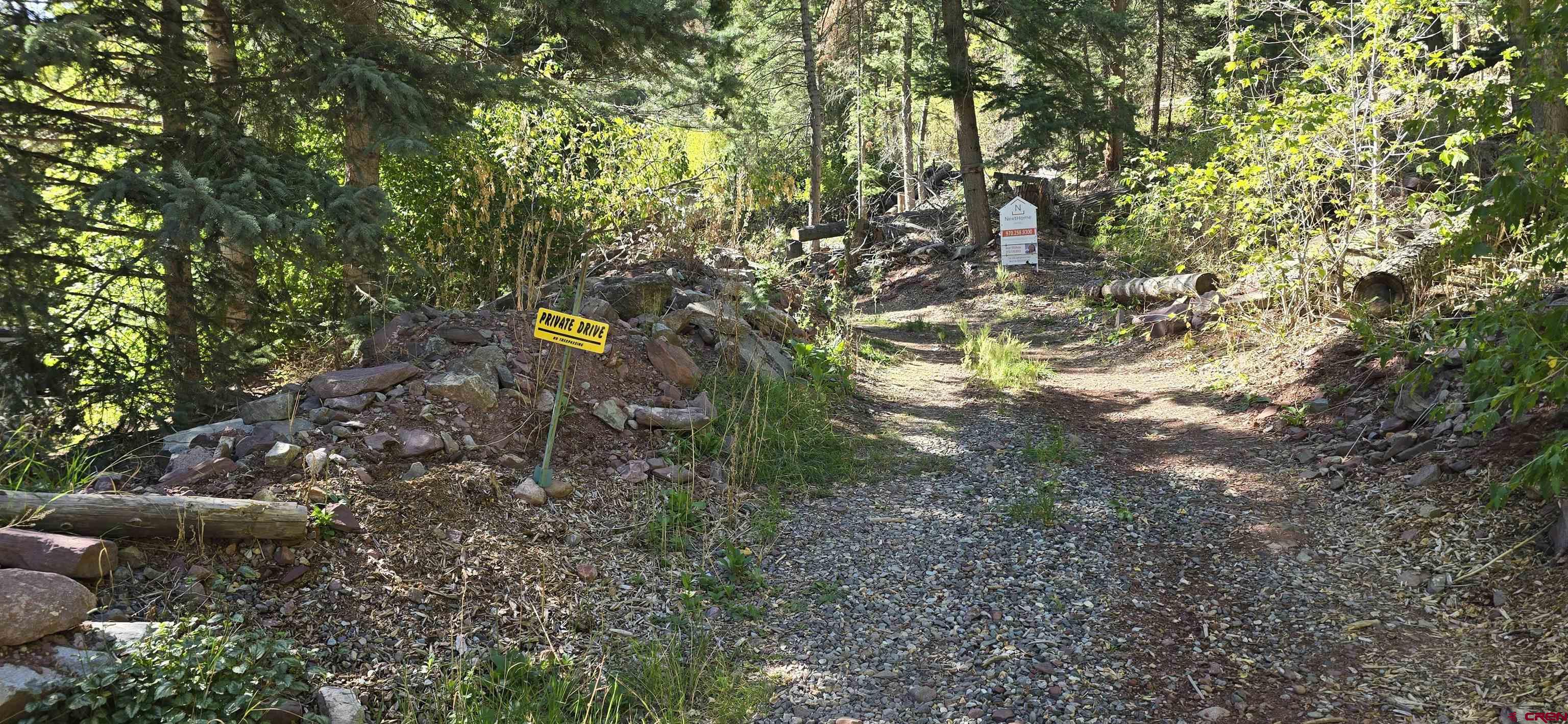 a view of a tree in a yard