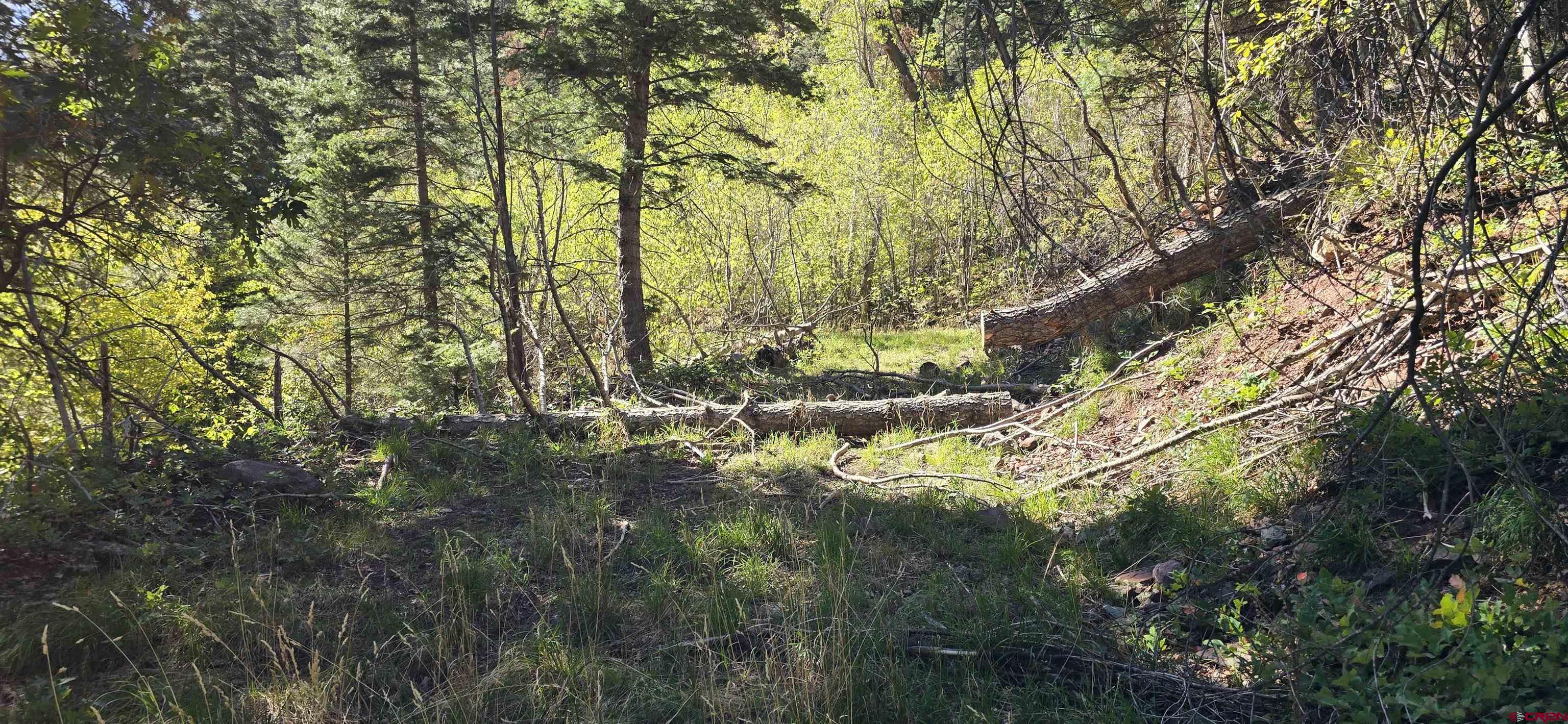 Tbd Oak Street Ouray, CO 81427 - Photo 11 of 14