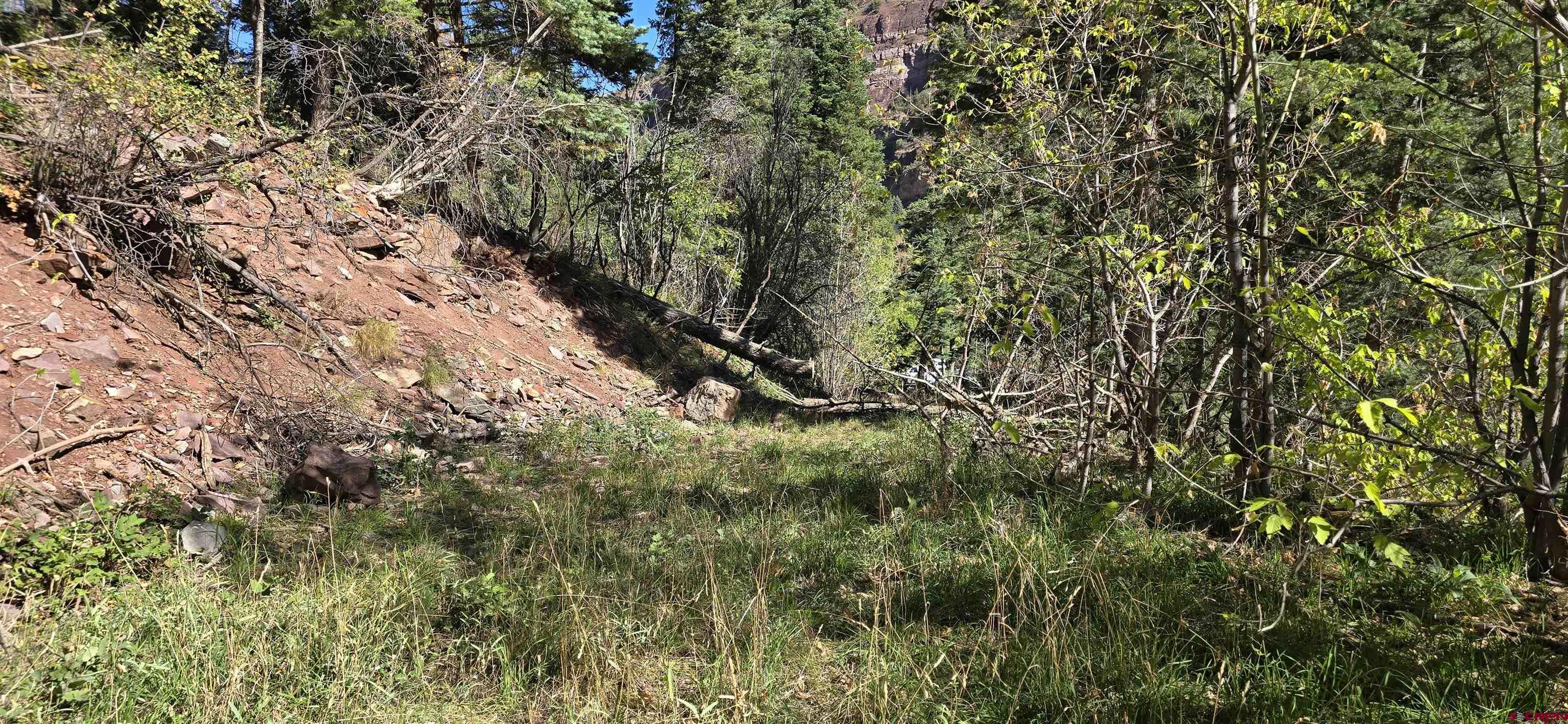 Tbd Oak Street Ouray, CO 81427 - Photo 12 of 14 a view of a tree in a yard