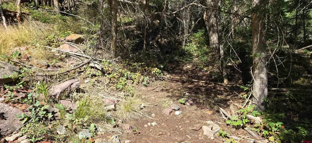 $975,000 | Tbd Oak Street, Ouray, CO 81427