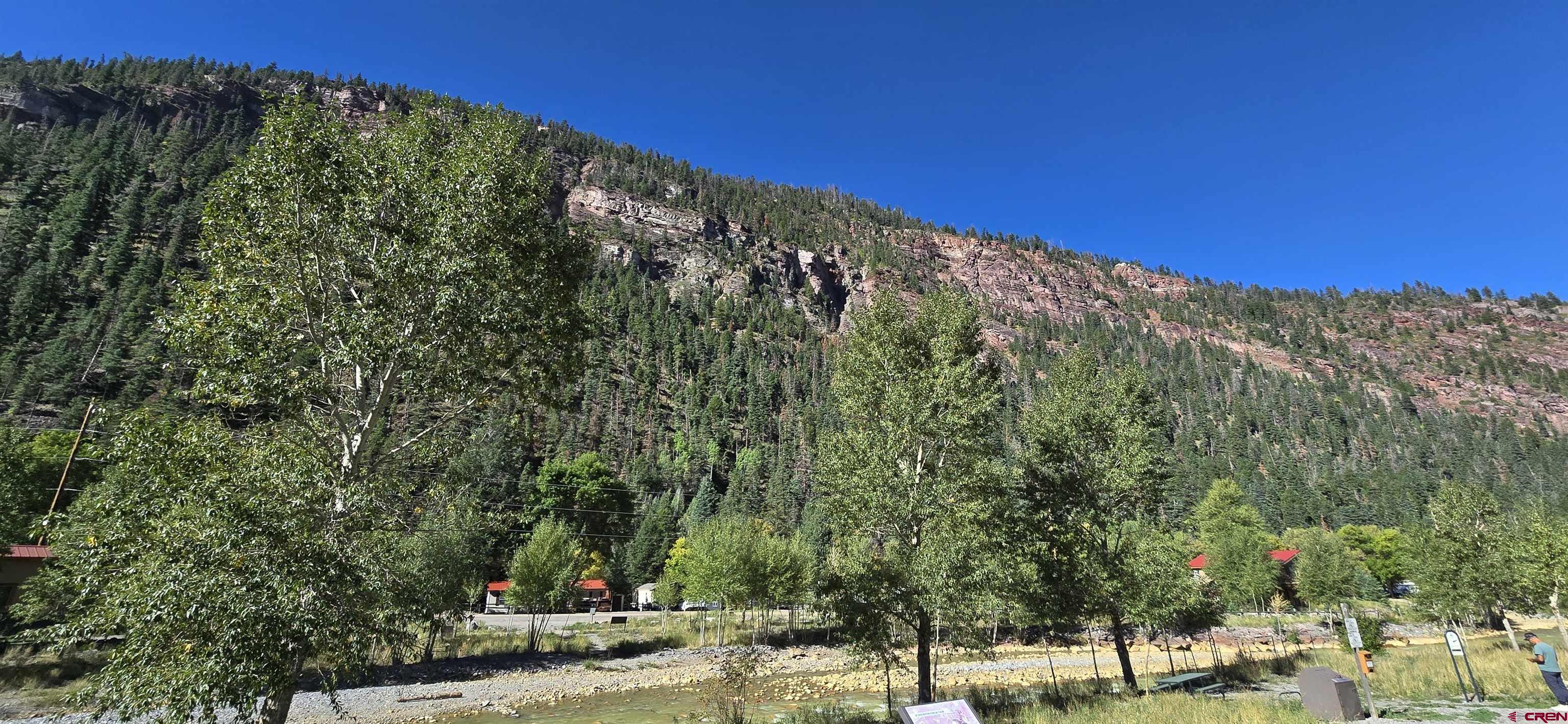 Tbd Oak Street Ouray, CO 81427 - Photo 3 of 14 a view of a field with a tree in the background