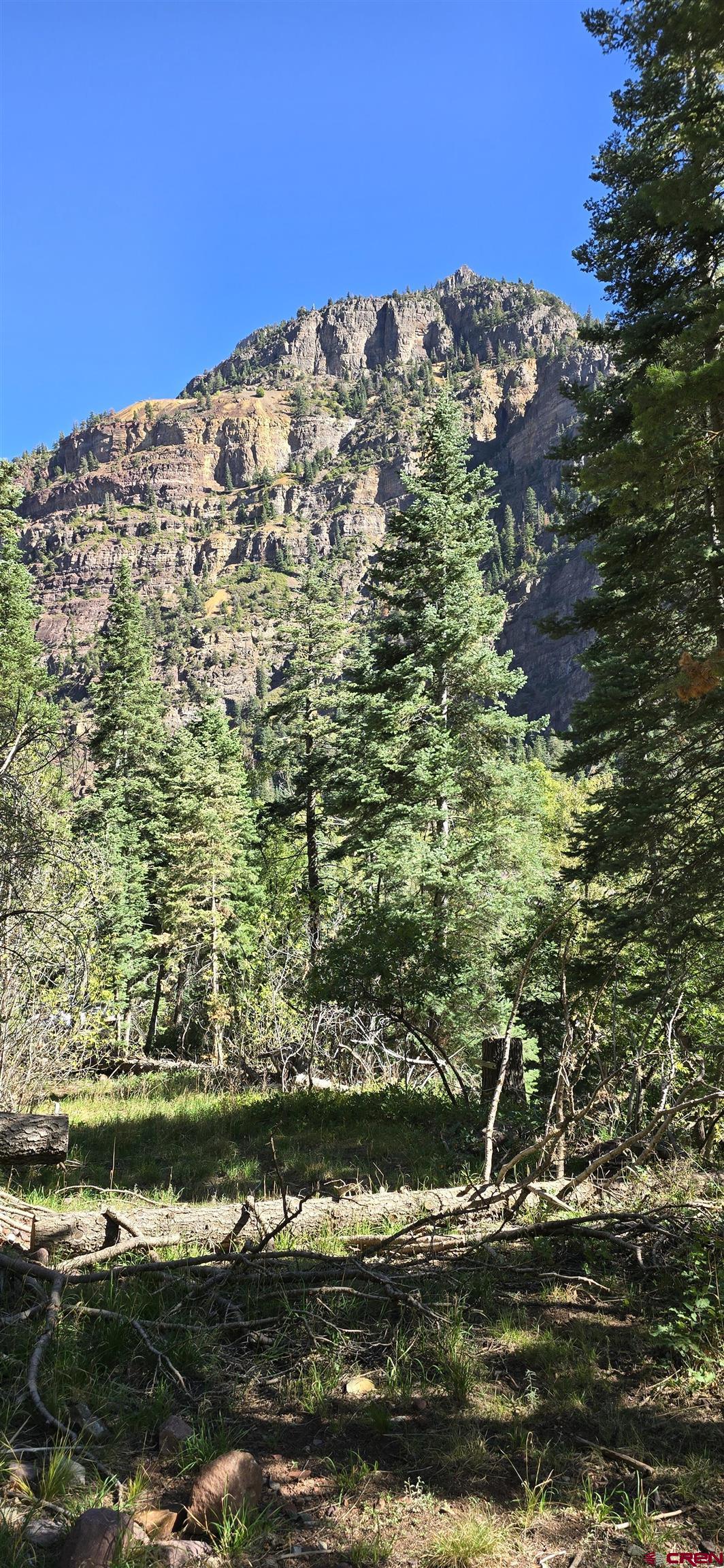 Tbd Oak Street Ouray, CO 81427 - Photo 4 of 14