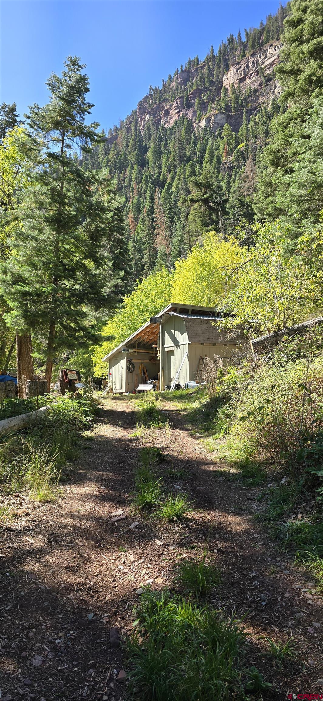 Tbd Oak Street Ouray, CO 81427 - Photo 6 of 14 a view of a yard
