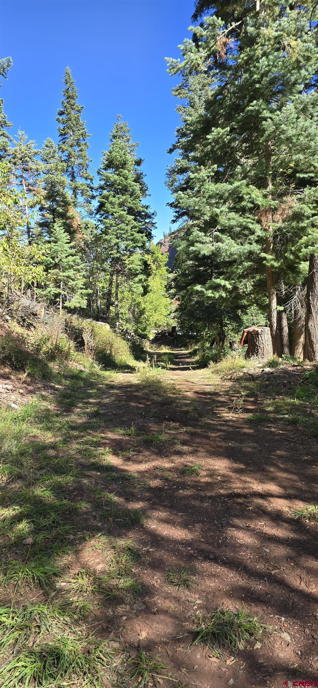 Tbd Oak Street Ouray, CO 81427 - Photo 9 of 14 a view of a yard
