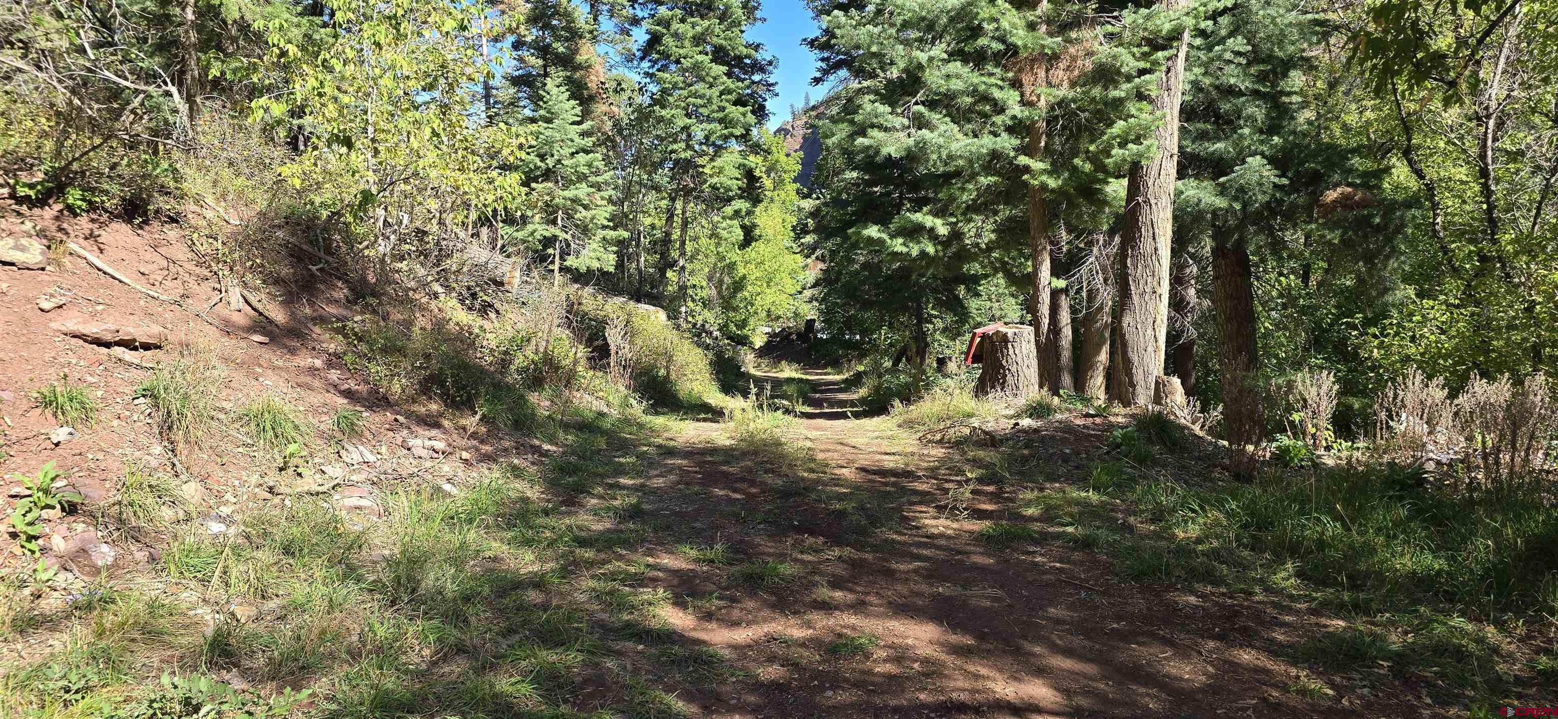 Tbd Oak Street Ouray, CO 81427 - Photo 10 of 14 a view of a forest with trees