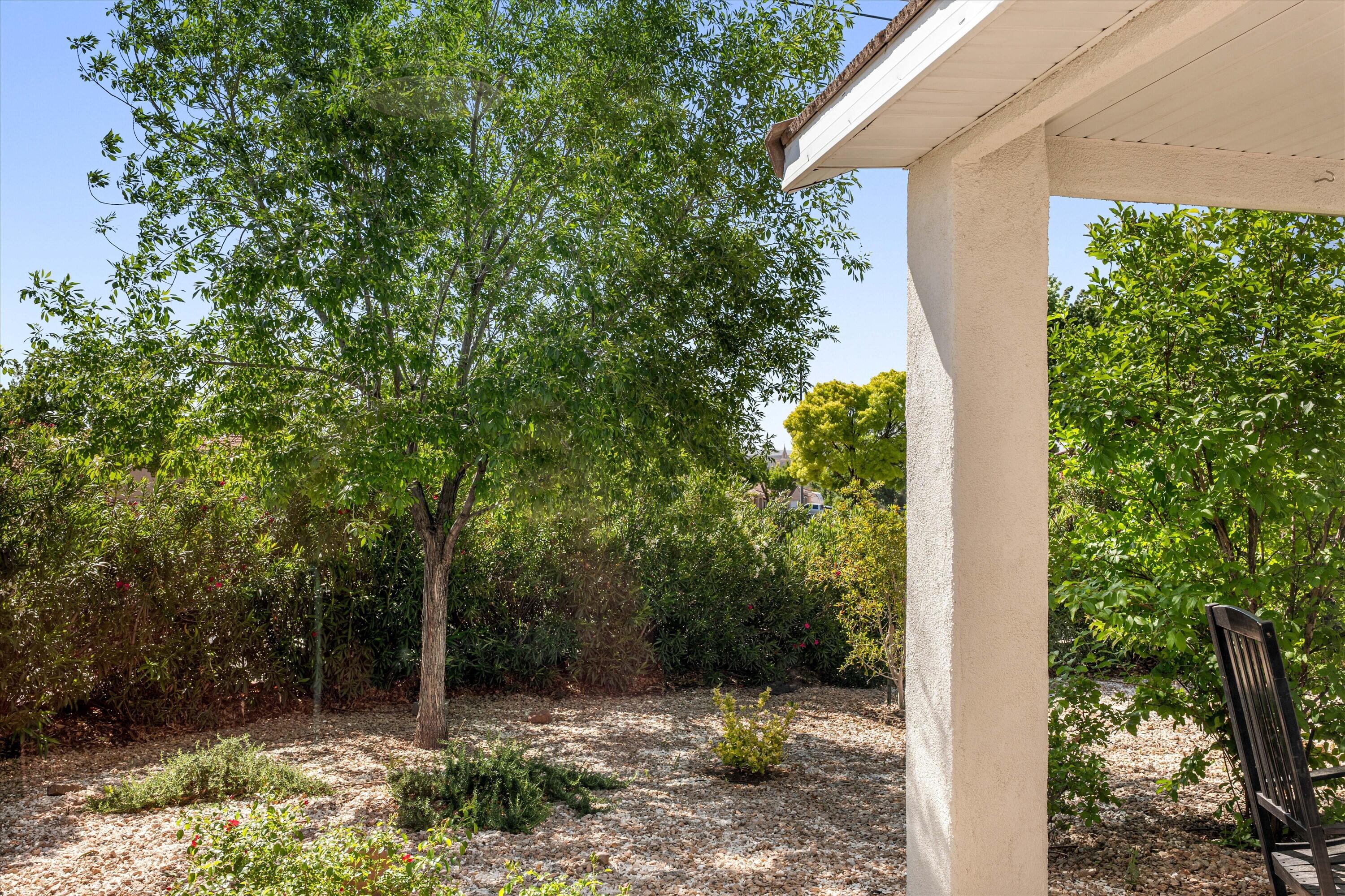 2721 East Riverside Drive, Unit 38 St. George, UT 84790 - Photo 32 of 47 Backyard