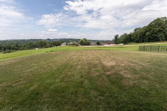 a view of a field with an ocean