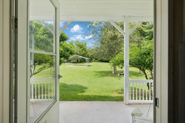 a view of a garden from a window