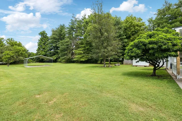a view of a field of grass and trees