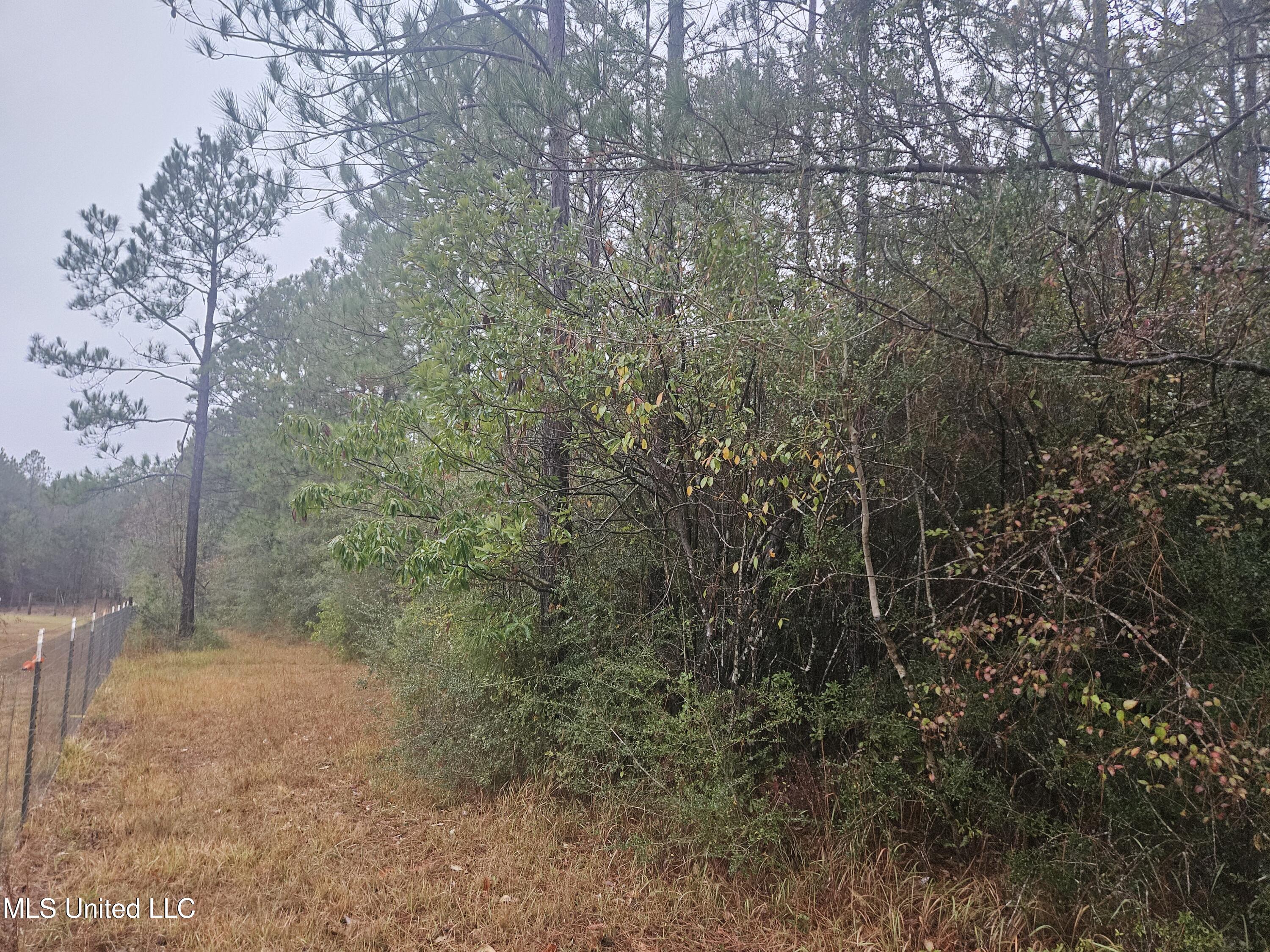 E Lake Perkinston, MS 39573 - Photo 2 of 5 20251204_154636