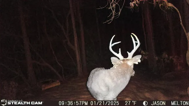 $40,000 | E Lake, Perkinston, MS 39573