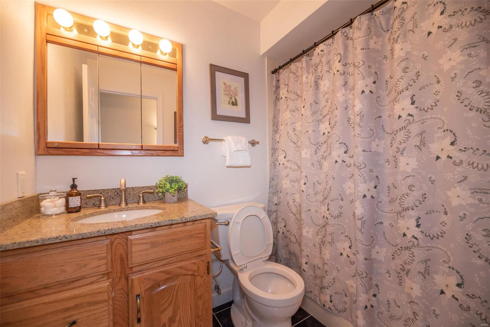 5597 Viewpoint Lane St. Louis, MO 63128 - Photo 24 of 66