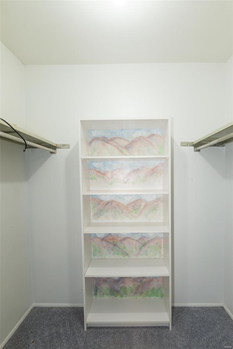 5597 Viewpoint Lane St. Louis, MO 63128 - Photo 39 of 66