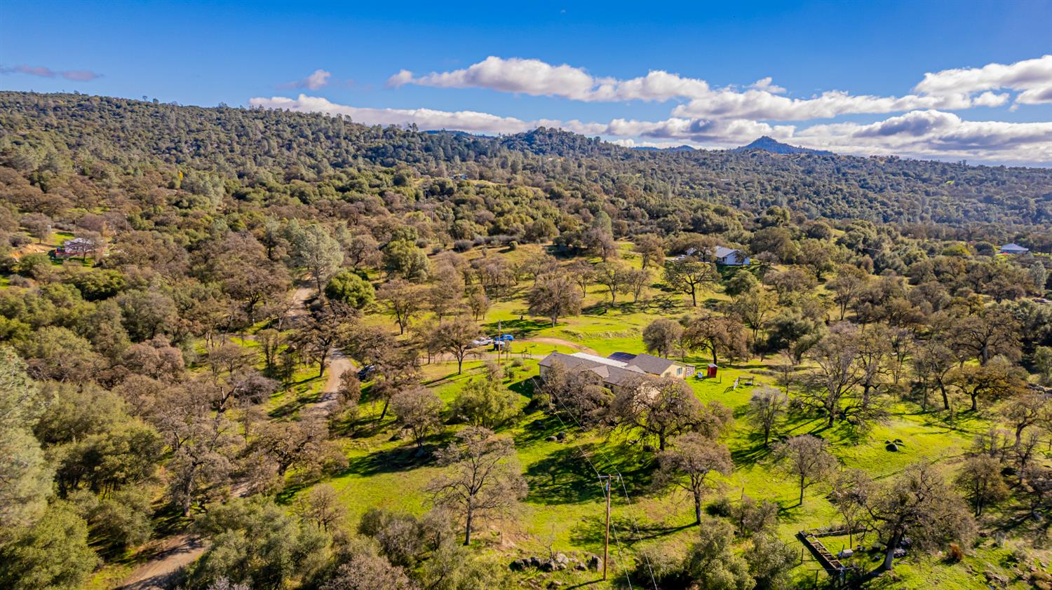 3335 Wildcat Road Mariposa, CA 95338 - Photo 39 of 48 a view of a bunch of trees