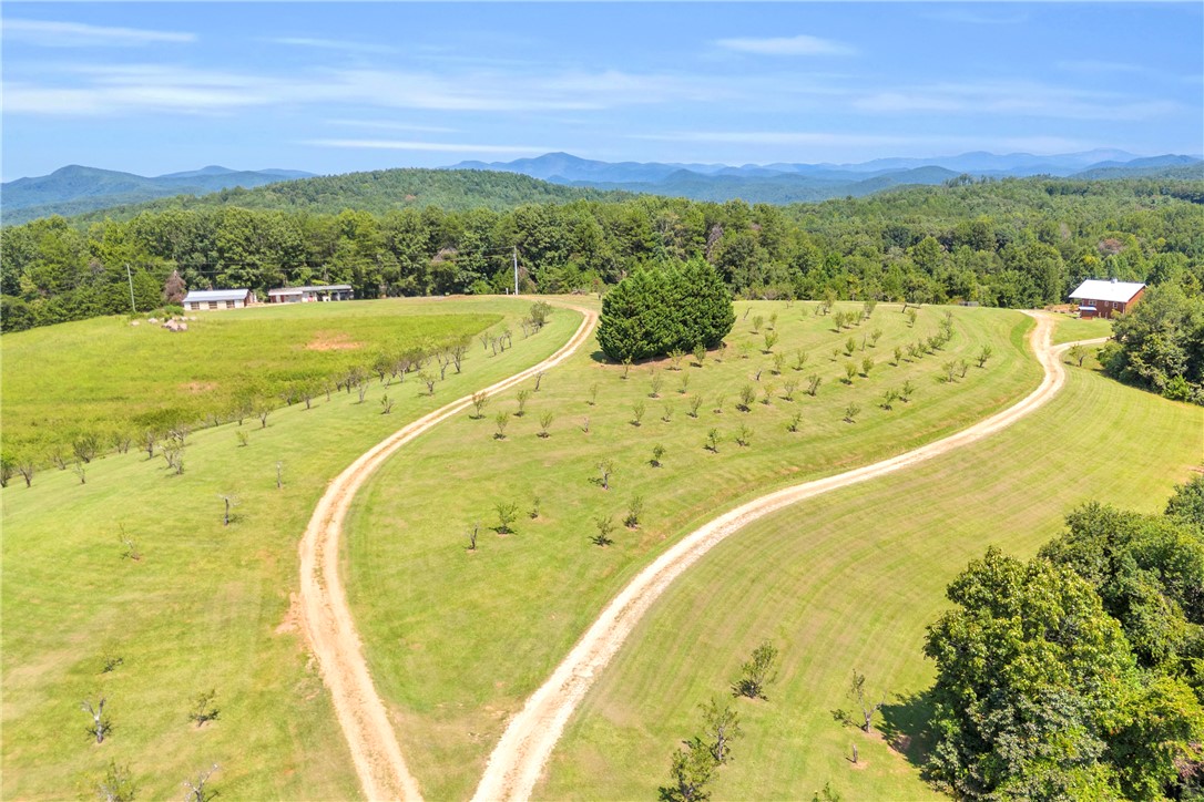 498 Raines Road Mountain Rest, SC 29664 - Photo 17 of 48 Rolling green hills and an orchard yield to distant mountain ridges under clear blue skies.