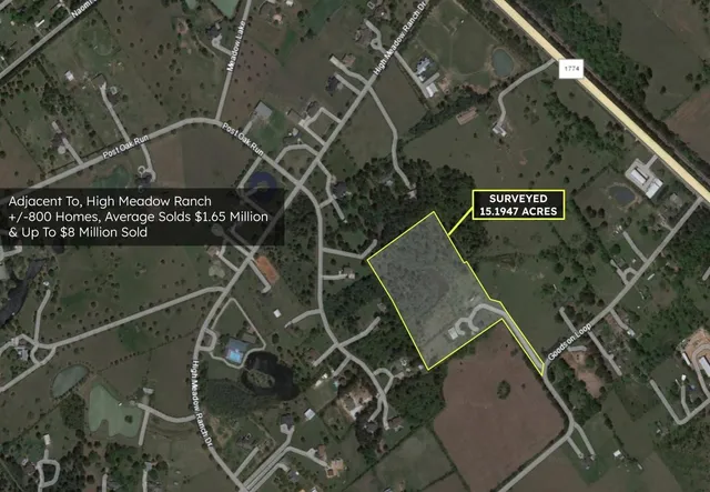 a view of a yard with plants