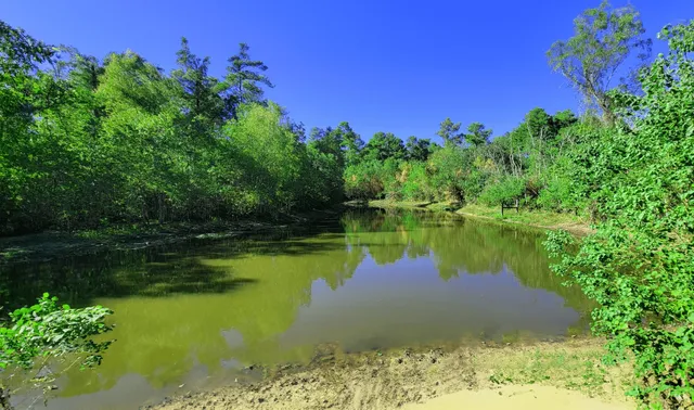 $900,000 | 2831 Goodson Loop, Pinehurst, TX 77362