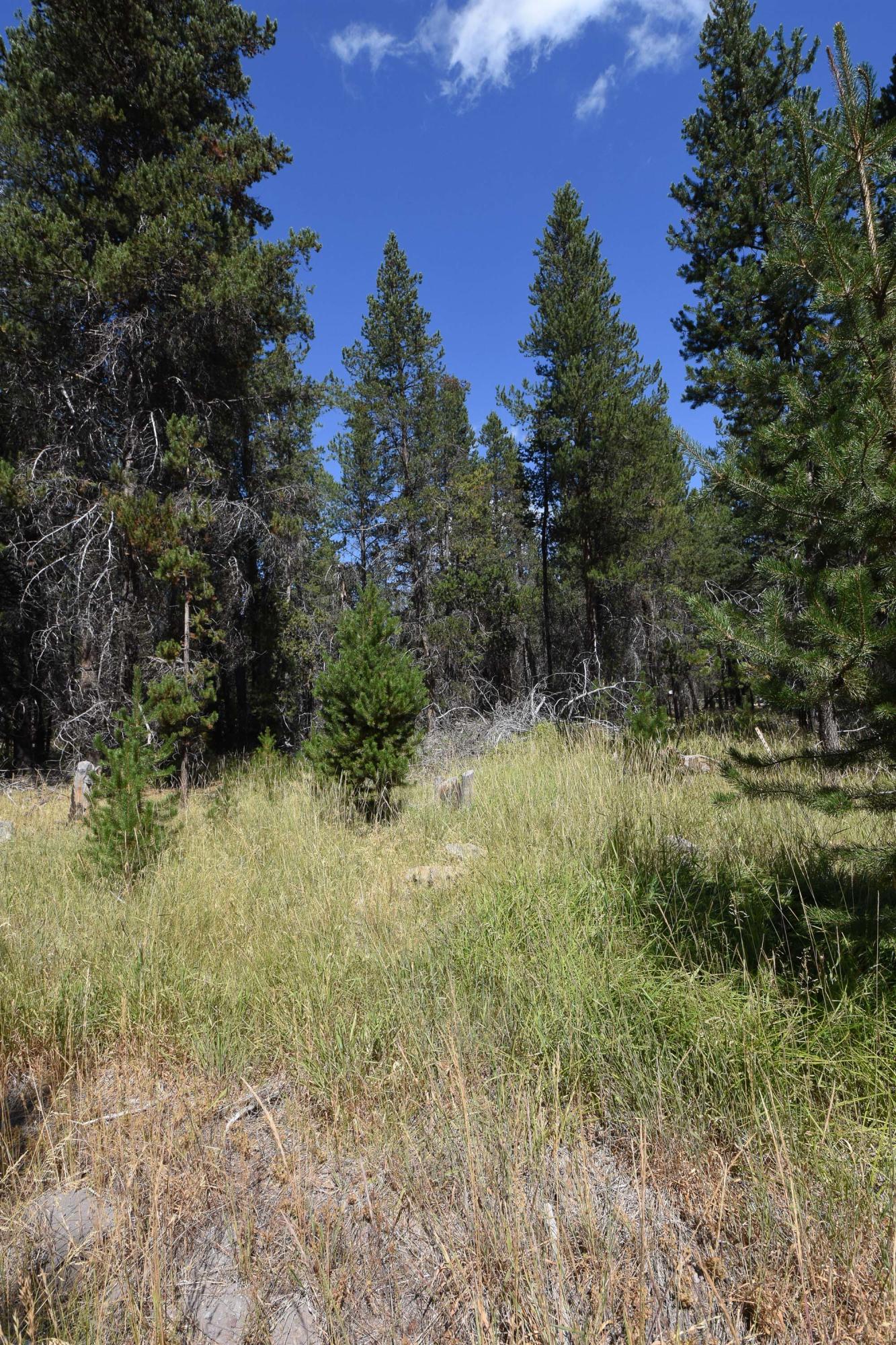 16844 Hermosa Road Bend, OR 97707 - Photo 3 of 7 20200822-DSC_0003