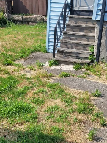 a view of a yard with plants and wooden fence