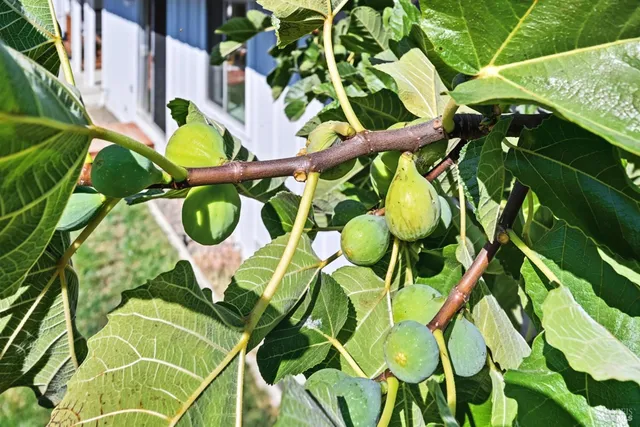 $1,199,000 | 9 Arlene Court, Petaluma, CA 94952