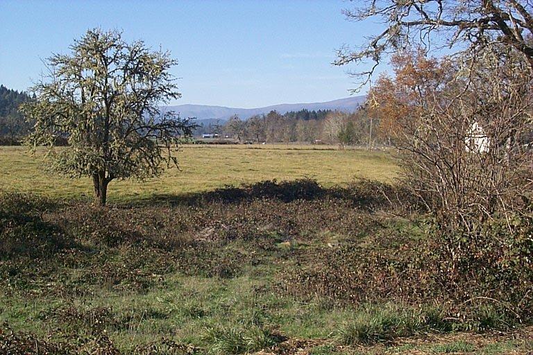 2581 Dick George Road Cave Junction, OR 97523 - Photo 11 of 27 Gallery Image 11