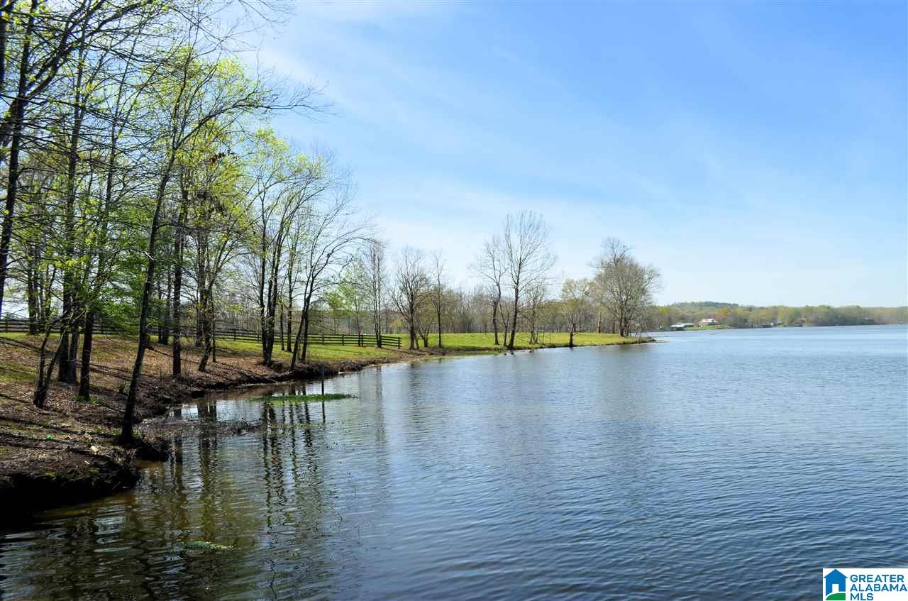 4683 Mcgowans Ferry Road Childersburg, AL 35044 - Photo 16 of 46