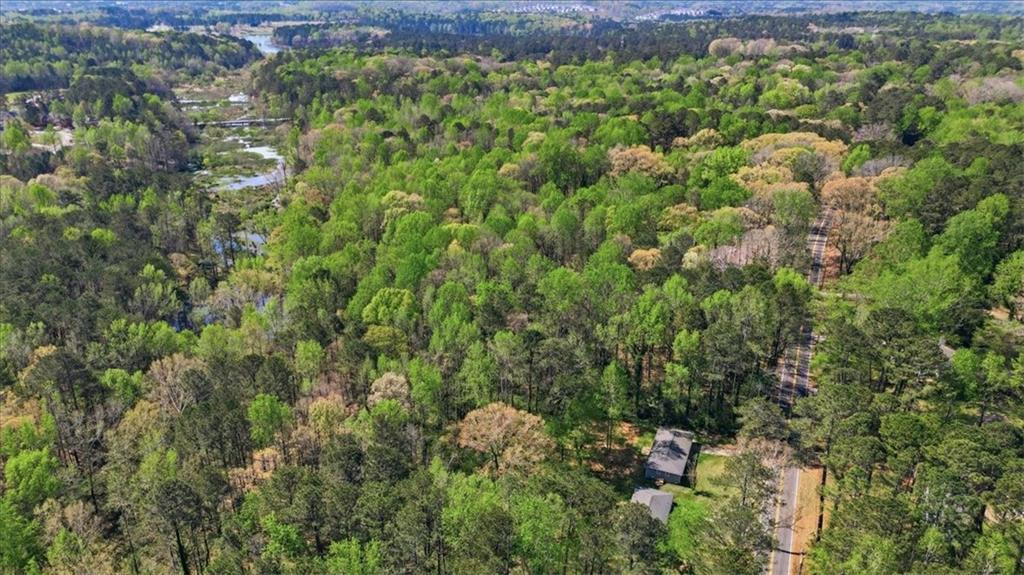 2536 Butner Road Atlanta, GA 30331 - Photo 39 of 42 a view of a forest with a tree