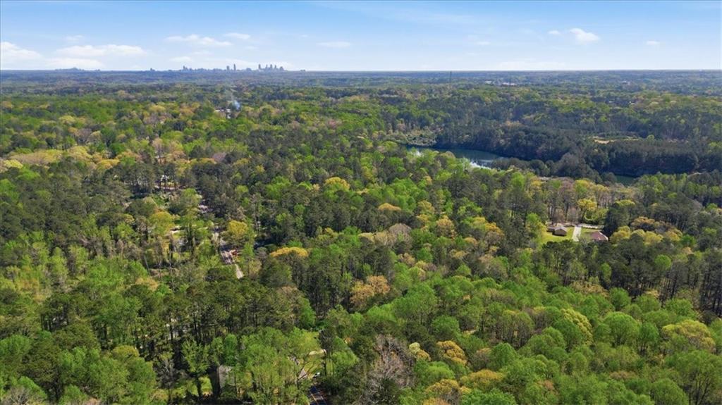 2536 Butner Road Atlanta, GA 30331 - Photo 41 of 42 a view of a city with lush green forest
