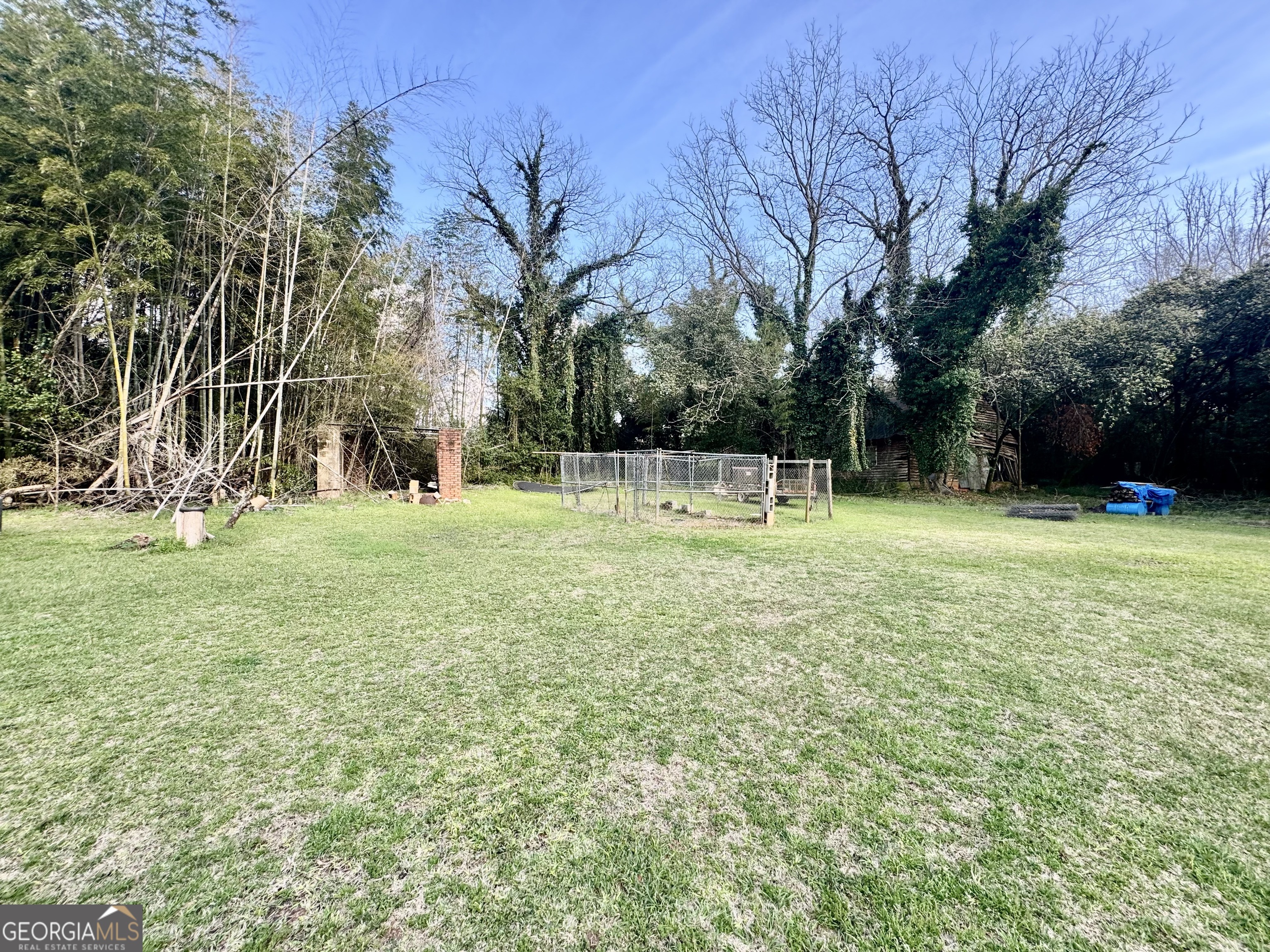 914 Adderton Street Americus, GA 31719 - Photo 11 of 54 a view of a tree in a park