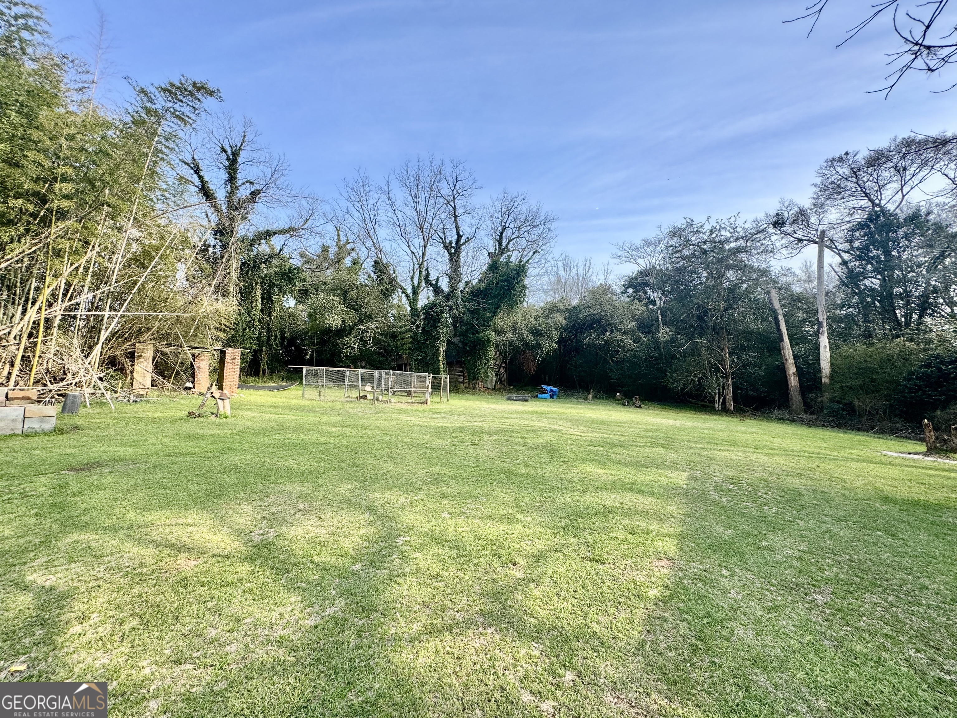 914 Adderton Street Americus, GA 31719 - Photo 10 of 54 a view of a park with large trees