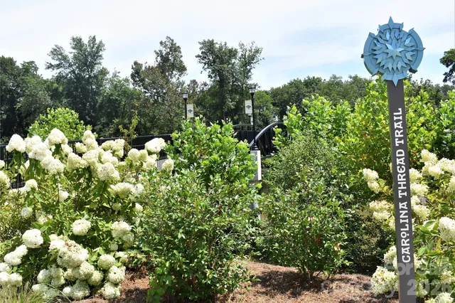 a front view of a garden with plants
