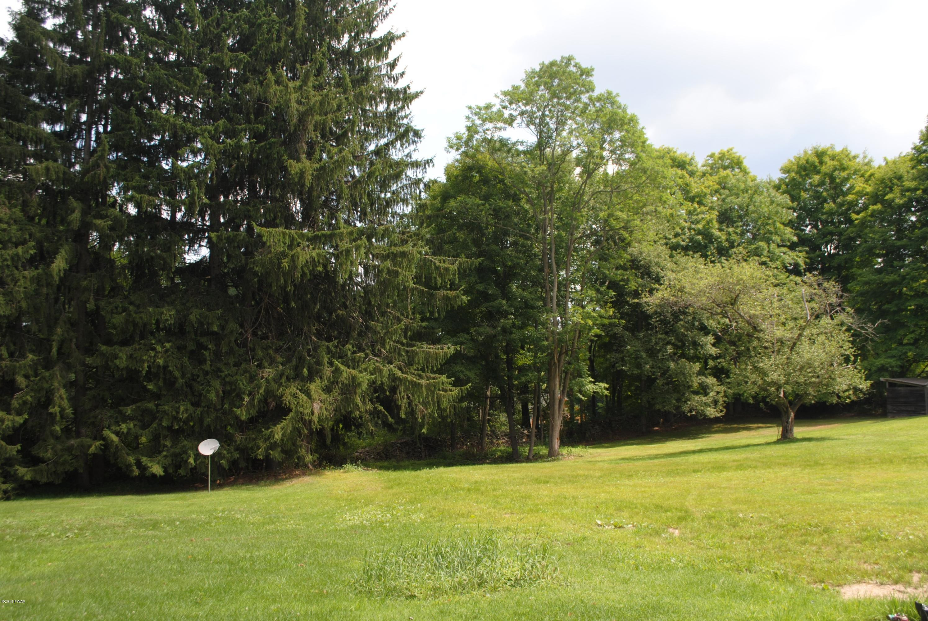 600 Neville Road Moscow, PA 18444 - Photo 13 of 35 a view of an outdoor space and a yard