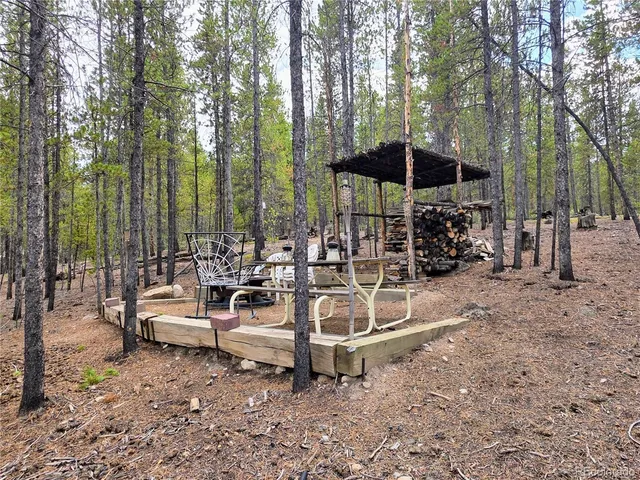 a picture of a tree in front of a door