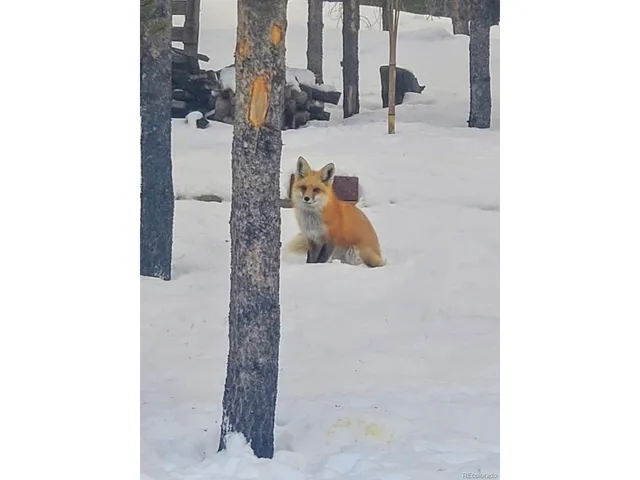 a bathroom with a shower and a mirror