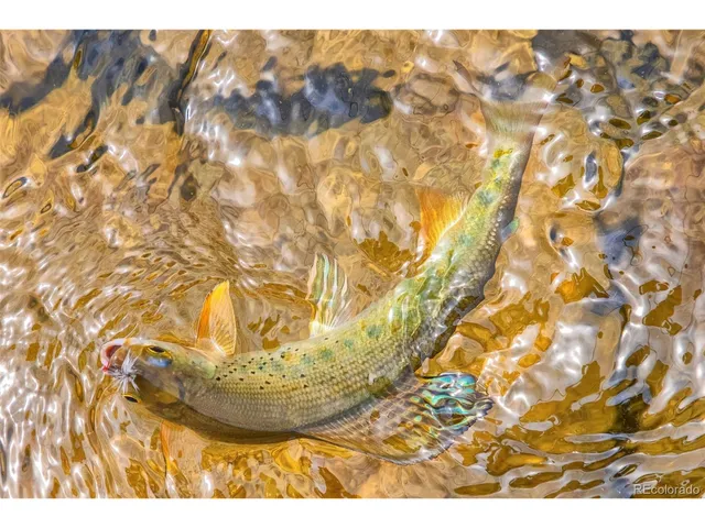 a view of outdoor space and a building